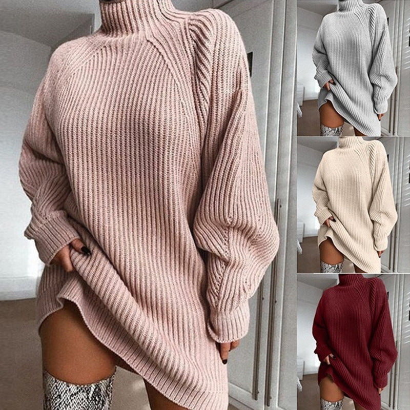 Solid Turtleneck Long - Sweater Winter Warm Women Sweater | Nova Goods
