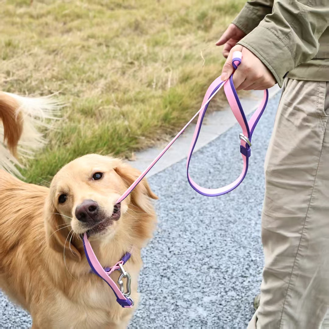 The Dual-Color Embossed Pet Leash Set Is A Pet Product That Combines Appearance